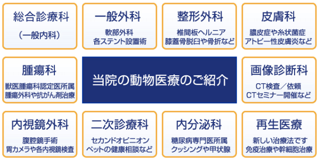 小動物医学内科治療法 e382b9e382afe383aae383bce383b3